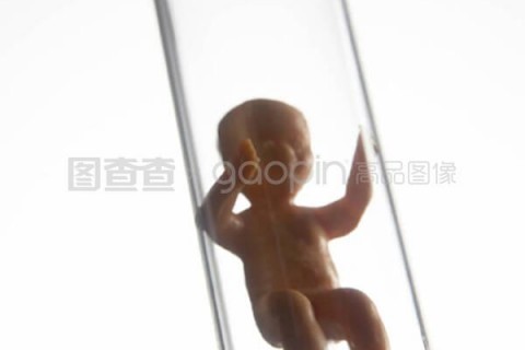 http://quanzhou.nbgk120.com/post/206.html|泉州新闻中心