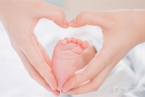夏天泉州捐卵宝宝发烧 莫要急