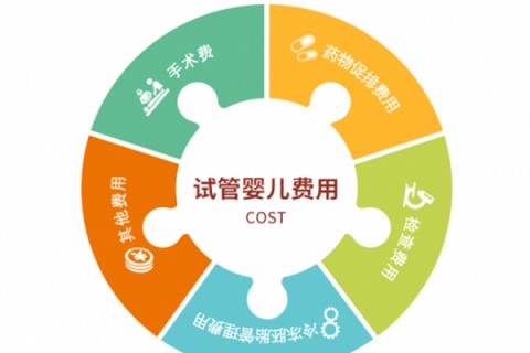 泉州捐卵宝宝肚痛，父母该怎么办？